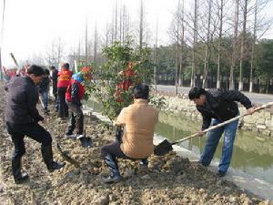 （圖）臨浦鎮掀起植樹造林高潮