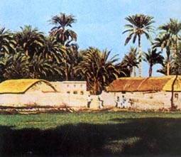 （圖）旁遮普族