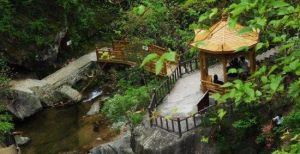 桃花沖森林公園 桃花沖森林公園