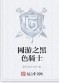 網遊之黑色騎士 網遊之黑色騎士