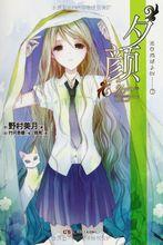 輕小說[小說類型]