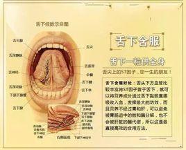 舌下含服 舌下含服