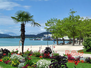 克拉根富特 克拉根富特