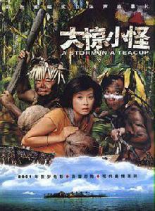 大驚小怪[2000年丁晟執導電影]