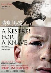 鷹與男孩 鷹與男孩