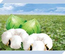 國家重大科技專項