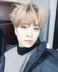 崔榮宰[韓國男歌手]