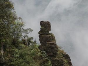 大瑤山自然保護區