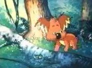 《毛富利,世界上最後一隻樹袋熊》 《毛富利,世界上最後一隻樹袋熊》