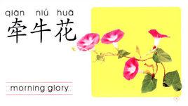 寶寶早教啟蒙卡:植物 寶寶早教啟蒙卡:植物