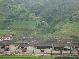 分水嶺新村 分水嶺新村