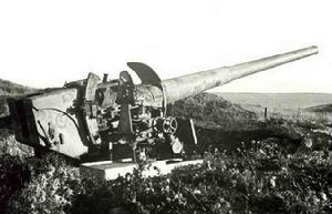 PzKpfw IX坦克VK7501A