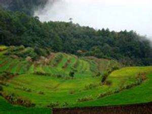 依齊么村 依齊么村