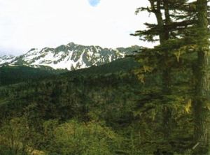 蒼山自然保護區 蒼山自然保護區