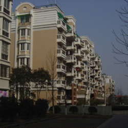 采荷紅菱 采荷紅菱