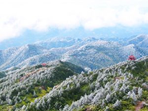 戴雲山自然保護區 戴雲山自然保護區