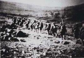 蘇亭戰鬥 蘇亭戰鬥