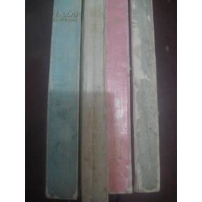 陸迪[《中訊網》執行長]