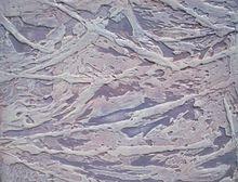 復層塗料,骨漿的樣板造型