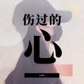 傷過的心 傷過的心