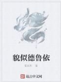 貌似德魯依 貌似德魯依
