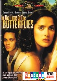 《蝴蝶情人》 《蝴蝶情人》