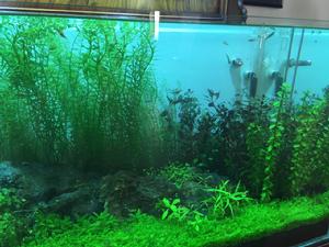 迪茨[浙江台州家居品牌]