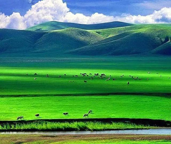 8月最值得去的8個地方！