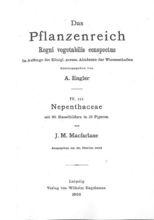 《豬籠草科》（1908年）的封面