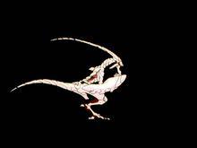 betterman[動畫《進化戰記》中的超生命體種族]