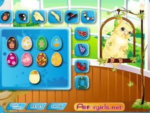 俏皮小鸚鵡 俏皮小鸚鵡