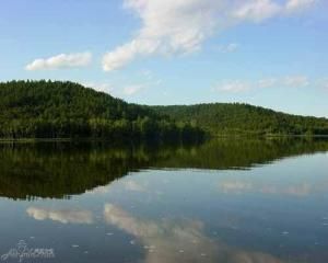達爾濱湖公園 達爾濱湖公園