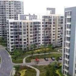 寶通家園 寶通家園