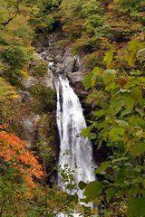 秋保瀑布