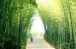 望壩革寨 望壩革寨