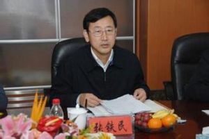 張鐵民[遼寧省人大常委會副主任，阜新市委書記]