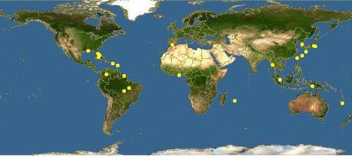 細葉結縷草分布範圍
