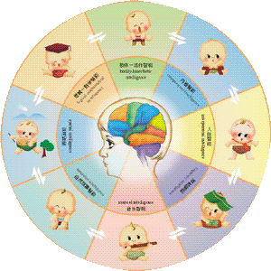 （圖）多元智慧型