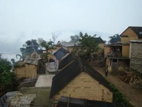 女東紅特村 女東紅特村