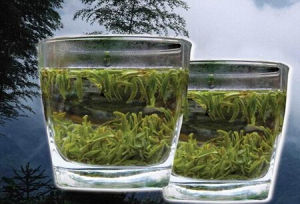 景寧惠明茶 景寧惠明茶