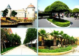 城市園林綠化企業 城市園林綠化企業