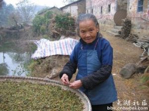 牌形鋪村 牌形鋪村