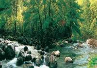 牯牛降國家級自然保護區 牯牛降國家級自然保護區