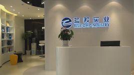 藍籌公司 藍籌公司