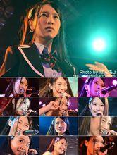 奮鬥不止的兔寶醬