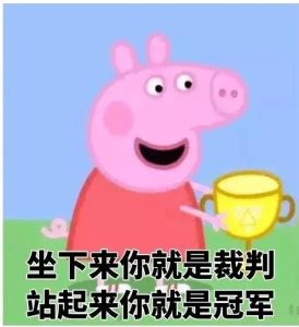 坐下去你是裁判，站起來你就是冠軍