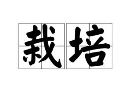 栽培[漢語詞語]