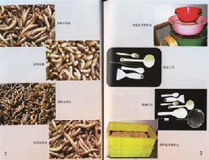 《黃粉蟲養殖與利用(修訂版)》