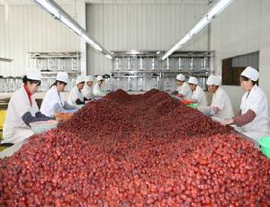 清澗縣巨鷹棗業有限責任公司 清澗縣巨鷹棗業有限責任公司