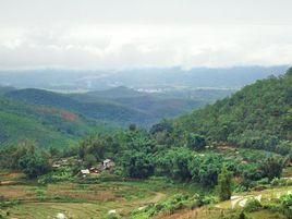 五排自然村 五排自然村